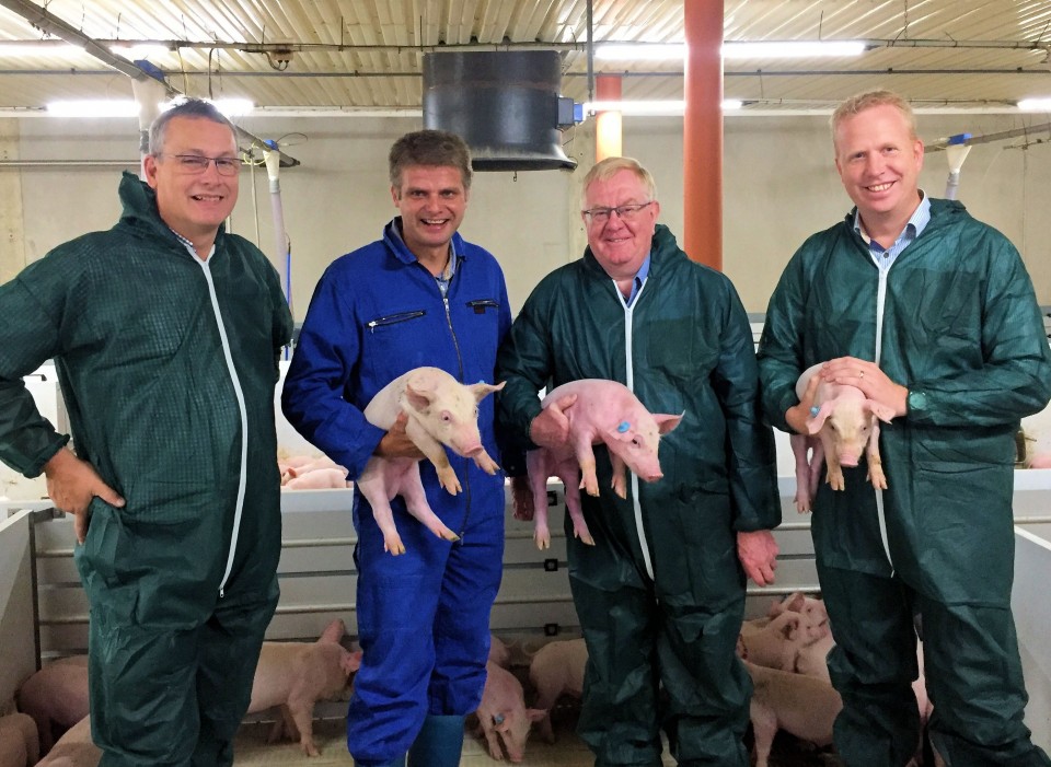 Reinhold Sendker beim Besuch des sauenhaltenden Betriebes Hof Wiling in Beckum im September: (v.l.) Rudolf Borghoff (Landwirtschaftskammer), Egbert Wiling, Reinhold Sendker MdB und Henning Rehbaum MdL